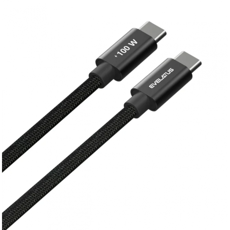 Evelatus Flex Cable Pro USB 2.0 Type C to Type C 100W 5A Black 2M