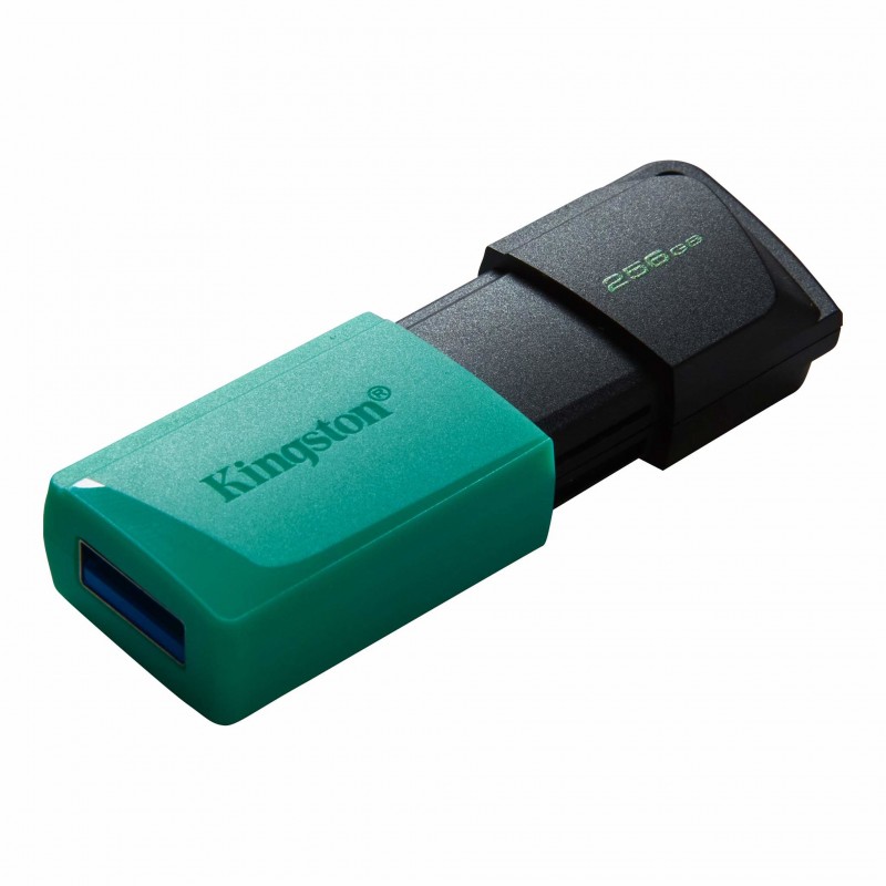 PEN DRIVE KINGSTON 256GB DATATRAVELER EXODIA M USB 3.2